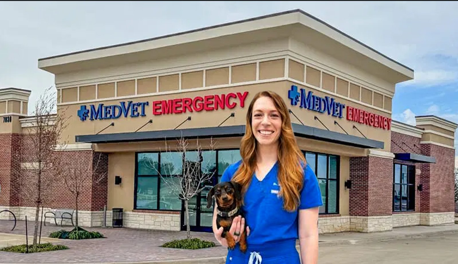 MedVet Frisco